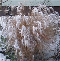 4b9f75e3-P1010203 a.jpg